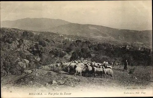 Ak Miliana Algerien, Vue prise du Zaccar, Berge, Panorama