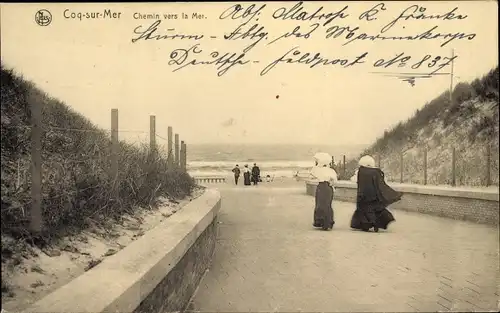Ak De Haan Le Coq sur Mer Westflandern, Chemin vers la Mer