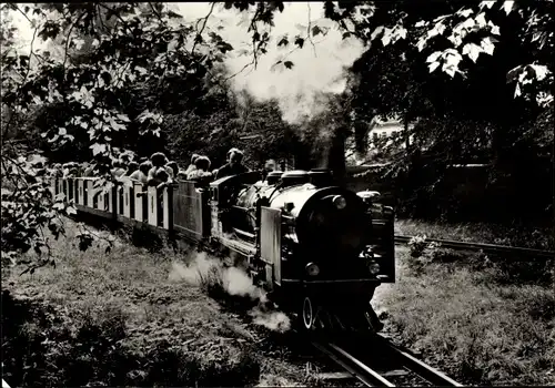 Ak Dresden, Großer Garten, Pioniereisenbahn