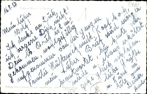 Ak Neheim Hüsten Arnsberg im Sauerland, Ortsansicht, Luftbild