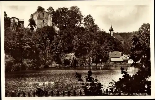 Ak Tharandt im Erzgebirge, Ruine und Schlossteich