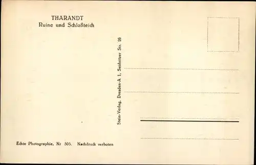 Ak Tharandt im Erzgebirge, Ruine und Schlossteich