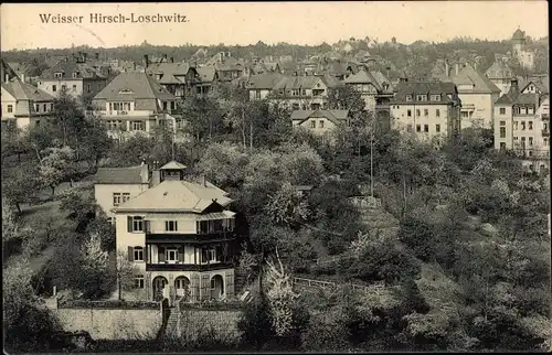 Ak Dresden Loschwitz Weißer Hirsch, Teilansicht