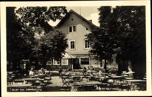 Ak Auer Moritzburg in Sachsen, Gasthof
