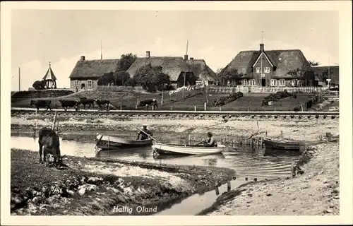 Ak Hallig Oland Nordfriesland, Teilansicht der Ortschaft, Boote, Kuh