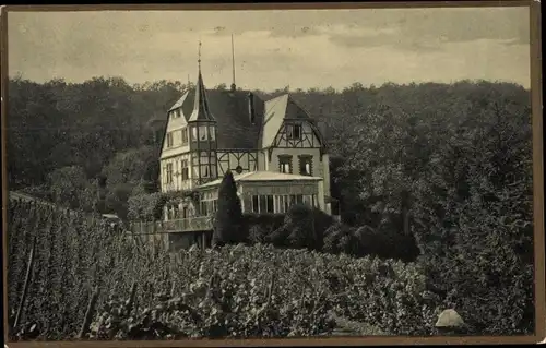 Ak Bullay an der Mosel, Gasthof Waldfrieden
