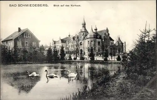 Ak Bad Schmiedeberg in der Dübener Heide, Kurhaus, Teich, Schwäne