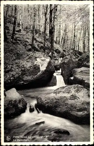 Ak Luxemburg, Petite Suisse Luxembourgeoise, Le Hallerbach