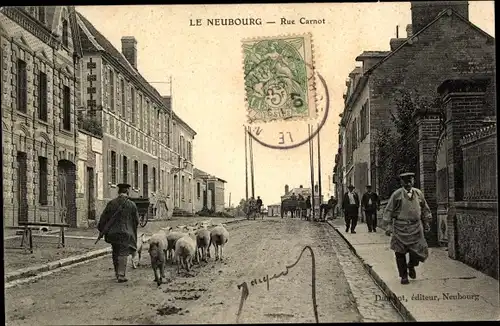 Ak Le Neubourg Eure, Rue Carnot, Schafe