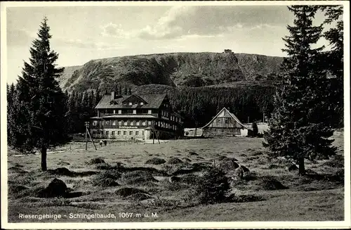 Ak Schlesien, Riesengebirge, Schronisko na Starej Polanie, Schlingelbaude