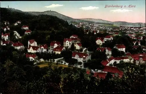 Ak Blankenburg am Harz, Gesamtansicht