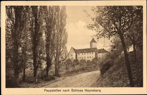 Ak Haynsburg Wetterzeube Burgenlandkreis, Pappelallee, Schloss Haynsburg