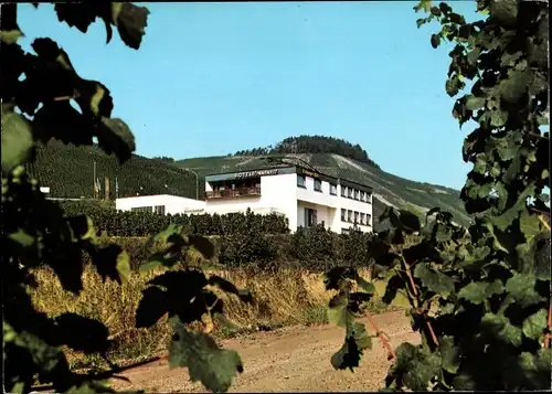 Ak Pölich Schleich an der Mosel, Hotel Pension Sonnental