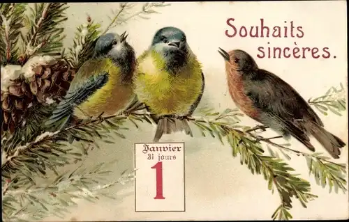 Ak Glückwunsch Neujahr, Vögel, Zapfen, Kalender
