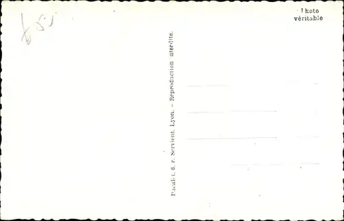 Ak Chiens du Grand St. Bernard, Un Couple