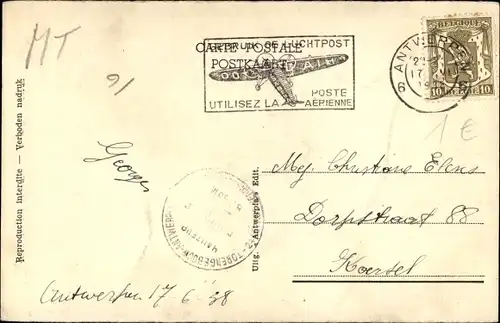 Ak Braunbär, Bruine Beer