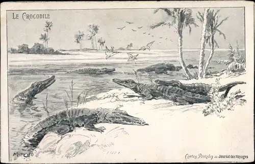 Künstler Ak Le Crocodile, Journal des Voyages, Landschaft mit Krokodilen