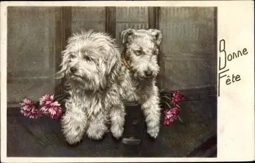 Künstler Ak Hunde in einem Wagen, Porträt, Glückwunsch, Bonne Fete