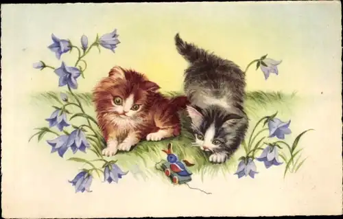 Ak Zwei junge Katzen, Wiese, Blumen, Spielzeug