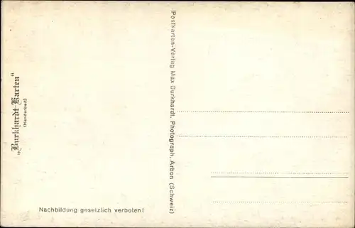 Ak Familie der Schwäne, Familienglück