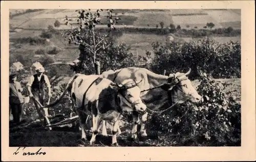 Ak Bauern bei der Arbeit, Pflug, Ackerarbeit, Landwirtschaft