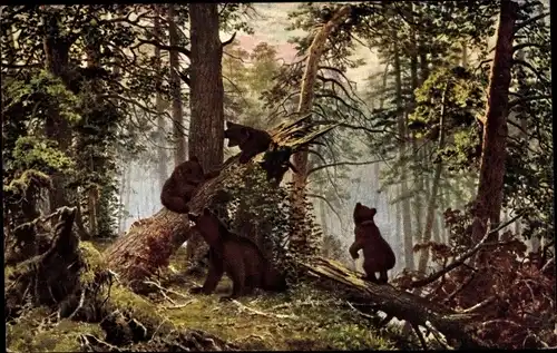 Künstler Ak Schischkine, L., Poranek w lesie sosnowym, Braunbären