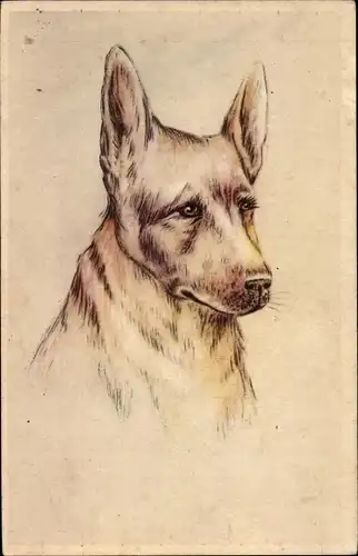 Künstler Ak Hundeportrait