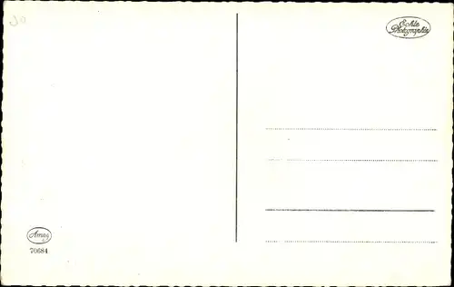 Ak Katzenportrait, Katze