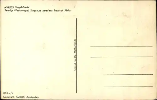 Künstler Ak Avros, Vogel Serie, Paradijs Weduwwogel, Tropisch Afrika