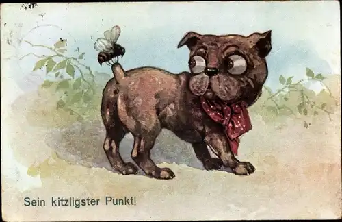 Ak Sein kitzligster Punkt, Wespe sitzt auf der Rute eines Hundes, rotes Halstuch