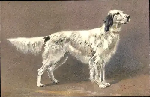 Künstler Ak Cocker Spaniel, Epagneul, Hundeportrait