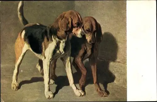 Künstler Ak de Dreux, Alfred, Stehende Jagdhunde
