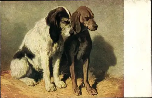 Künstler Ak de Dreux, Alfred, Sitzende Jagdhunde