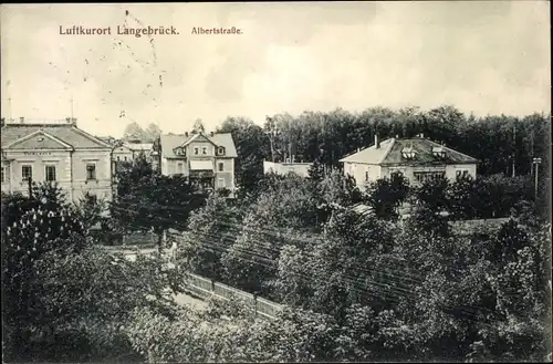 Ak Dresden Langebrück, Albertstraße