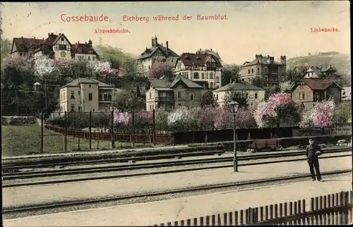 Ak Dresden Cossebaude, Albrechtshöhe, Liebenecke, Bahnhof