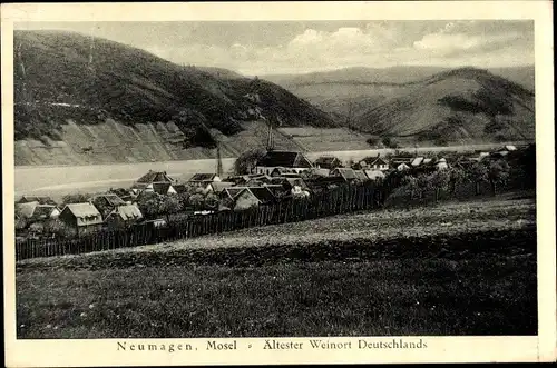 Ak Neumagen an der Mosel, Panorama