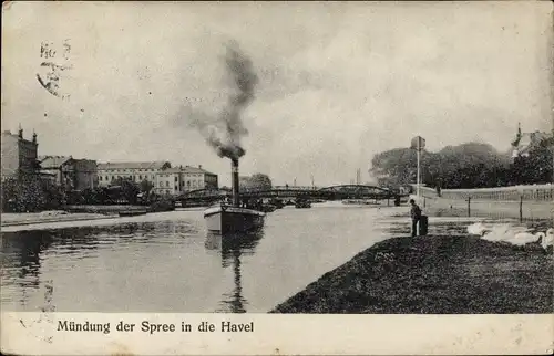 Ak Berlin Spandau, Mündung der Spree in die Havel