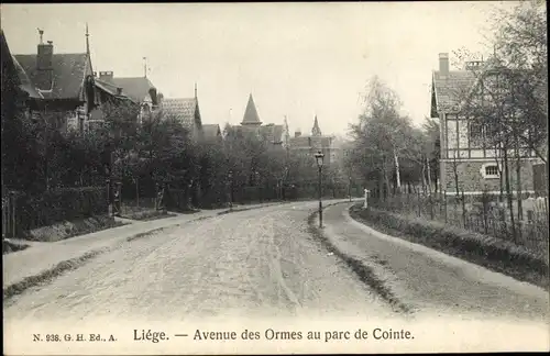 Ak Liège Lüttich Wallonien, Avenue des Ormes au parc de Cointe