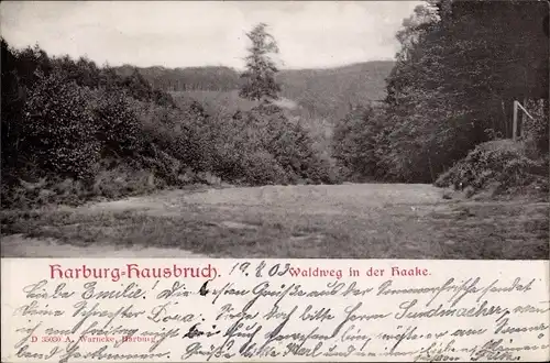 Ak Hamburg Harburg Hausbruch, Waldweg in der Haake