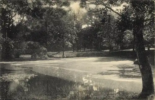 Ak Hamburg Eimsbüttel Niendorf, Parkpartie am Eidelstedter Weg, Teich, Landschaftsansicht