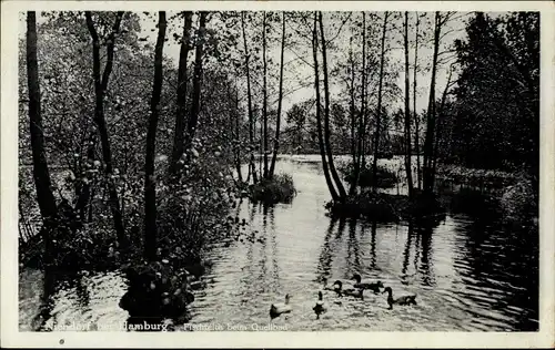 Ak Hamburg Eimsbüttel Niendorf, Fischteich beim Quellbad