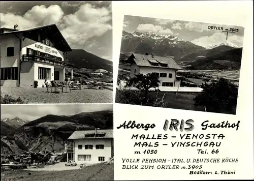 Ak Mals Malles Venosta Südtirol, Albergo Iris Gasthof, Blick zum Ortler