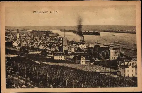 Ak Rüdesheim am Rhein, Panorama, Kirchturm, Schiffe