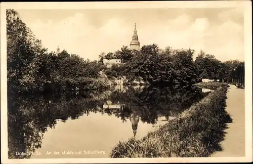 Ak Döbeln in Sachsen, An der Mulde mit Schlossberg, Kirchturm