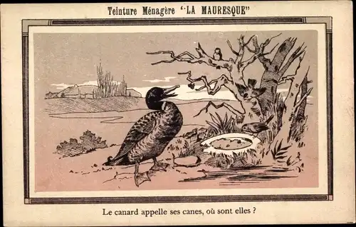 Künstler Ak Teinture Menagere La Mauresque, Le canard appelle ses canes, ous sont elles, Reklame