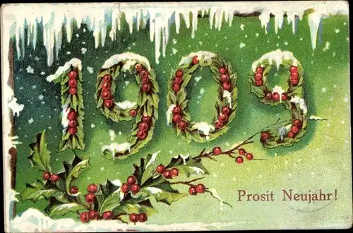 Präge Ak Glückwunsch Neujahr, Jahreszahl 1909, Stechpalmenzweige
