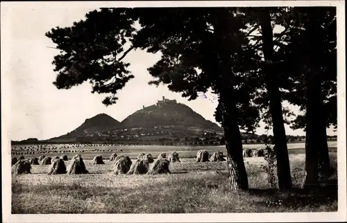 Ak Bezděz Schloßbösig Region Reichenberg, Ruine Bösig, Weizenfelder