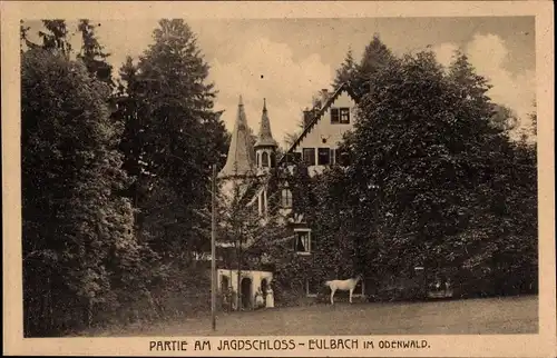Ak Eulbach Michelstadt im Odenwald, Jagdschloss