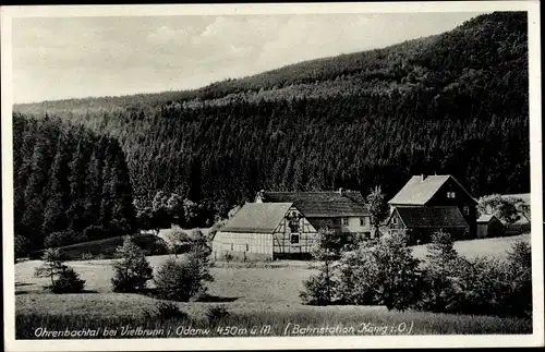 Ak Vielbrunn Michelstadt im Odenwald, Gasthof Ohrnbachtal