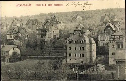 Ak Dresden Cossebaude, Teilansicht, Eichberg